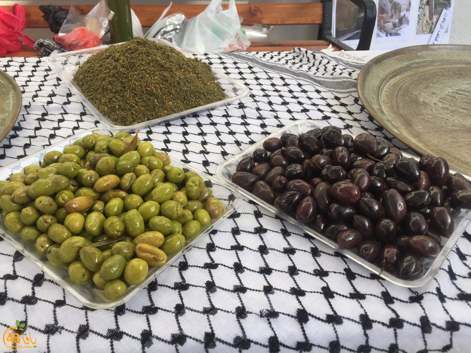 torath day yaffa mostqbal (29).jpeg